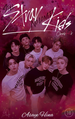 🔮 Still STRAY, No Longer KIDS - OnesHOTs Concluídas 🔞